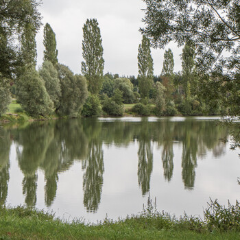 photo du thème école