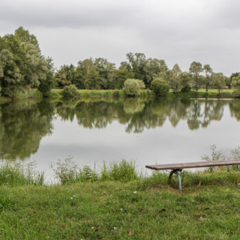 photo du thème école