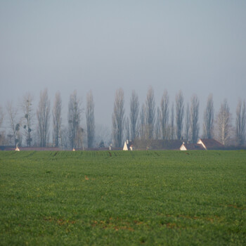 photo du thème école