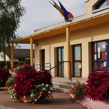 photo du thème école