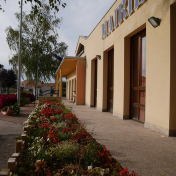 photo du thème école