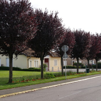 photo du thème école