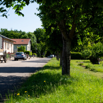 photo du thème école