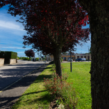 photo du thème école